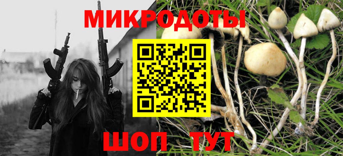 Галлюциногенные грибы ЛСД  Вход с VPN  Новоалтайск  Галлюциногенные грибы мухоморы 
