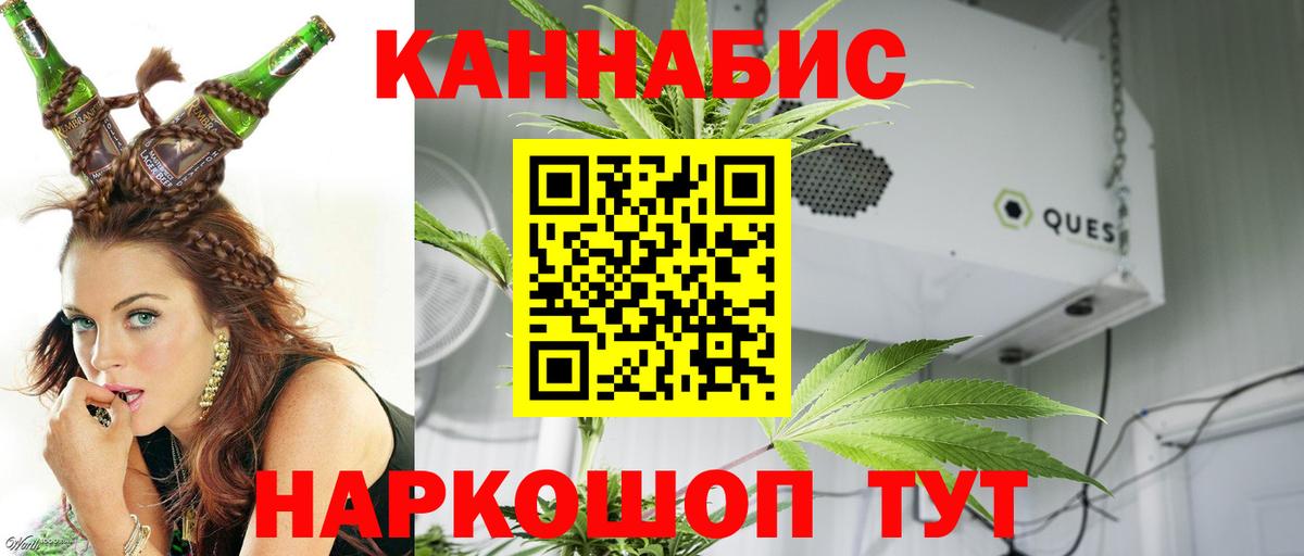 Конопля OG Kush Новоалтайск